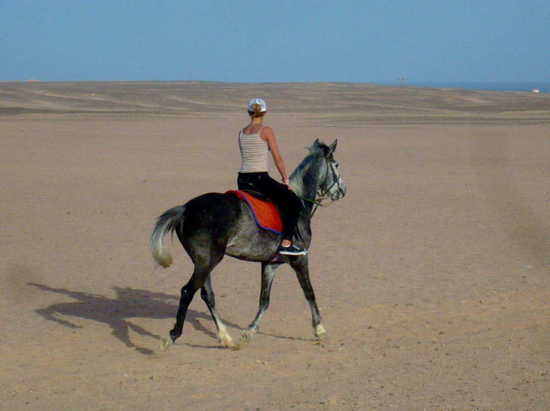 Happy Horse Stable Magawish Horseriding-赫尔格达必去景点