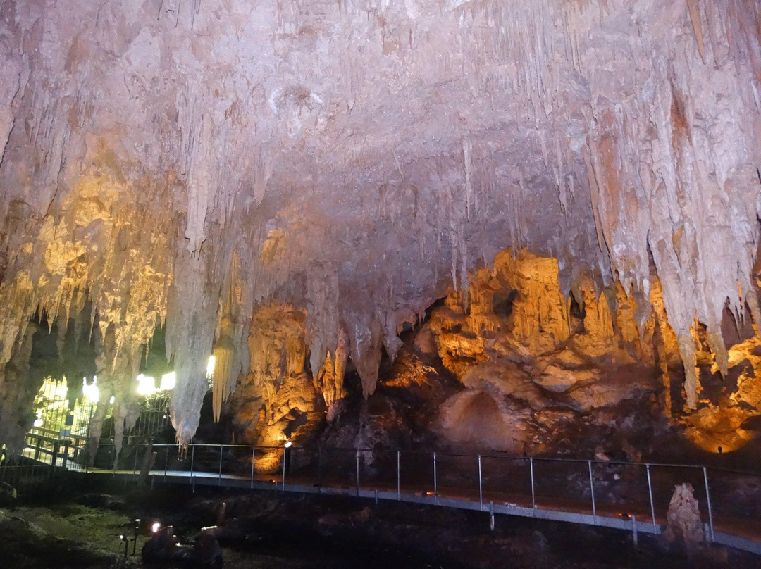 Mammoth Cave景点图片