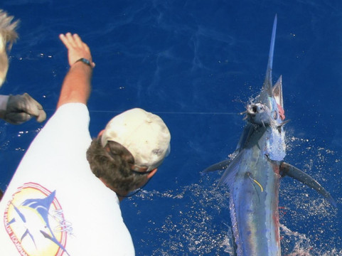 Medusa Sportfishing - Private Charters-凯鲁瓦-柯纳必去景点