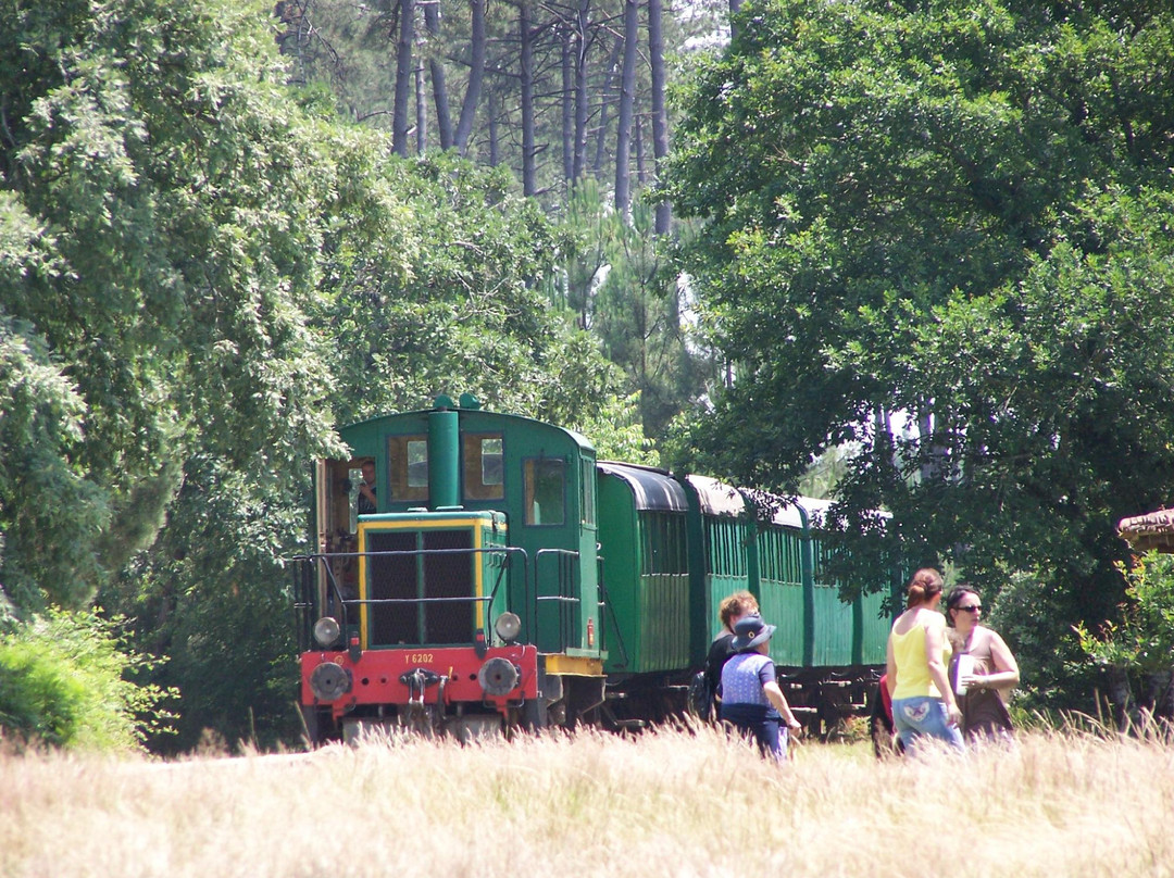 Écomusée De Marquèze-Sabres必去景点