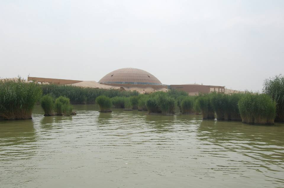 沙湖生态旅游区景点图片