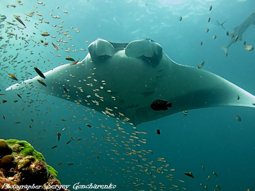 OK Club Diving Center-兰塔岛必去景点