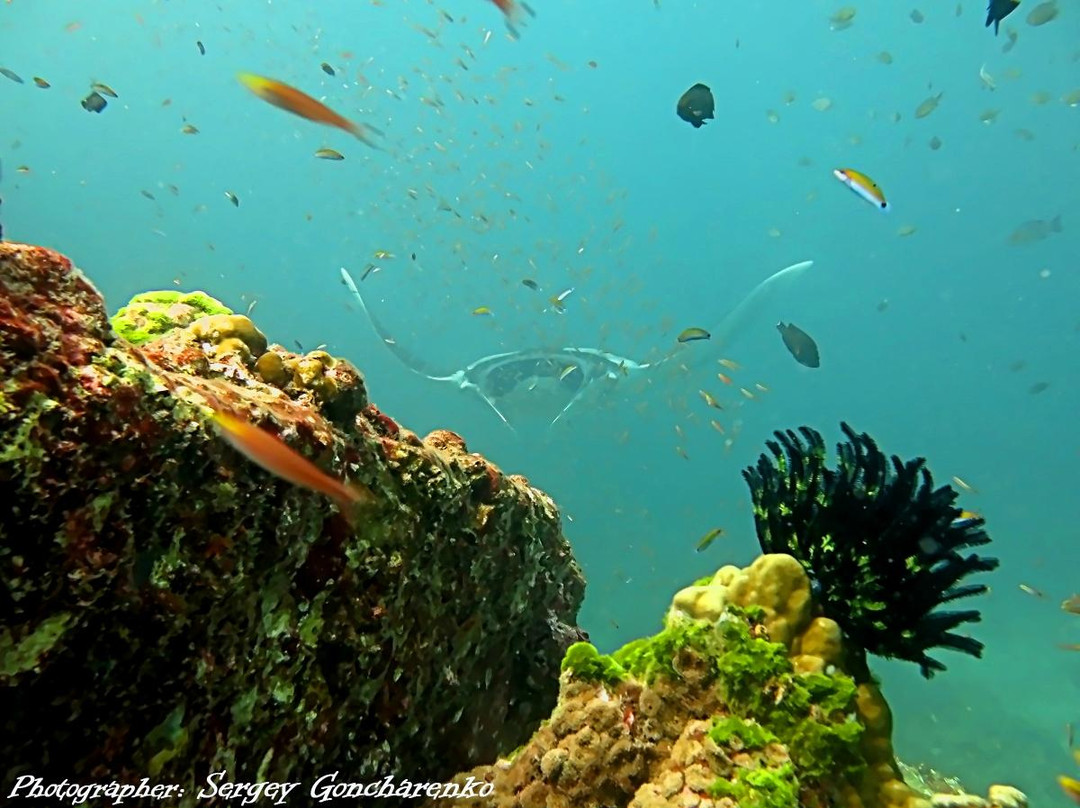 OK Club Diving Center-兰塔岛必去景点