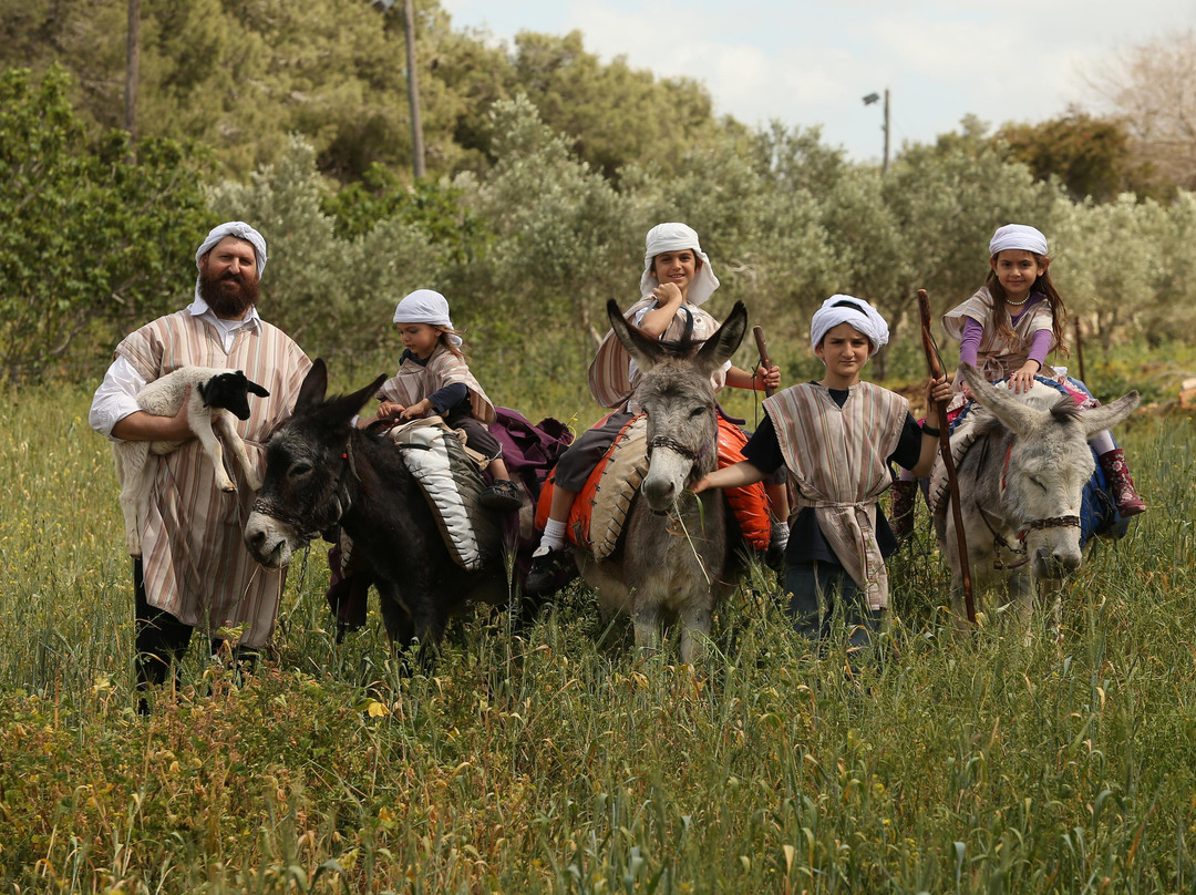 Kfar Kedem景点图片