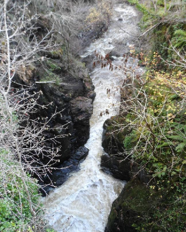 Rumbling Bridge Falls-Dunkeld必去景点
