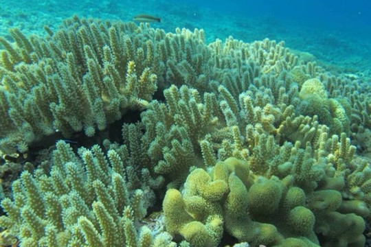 百福湾-三亚市必去景点