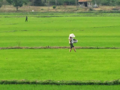 真友摩托车之旅-芽庄必去景点