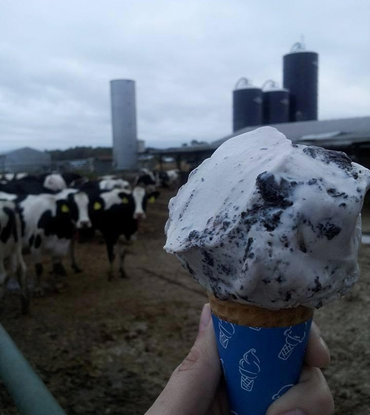 Hopkins Farm Creamery-刘易斯必去景点