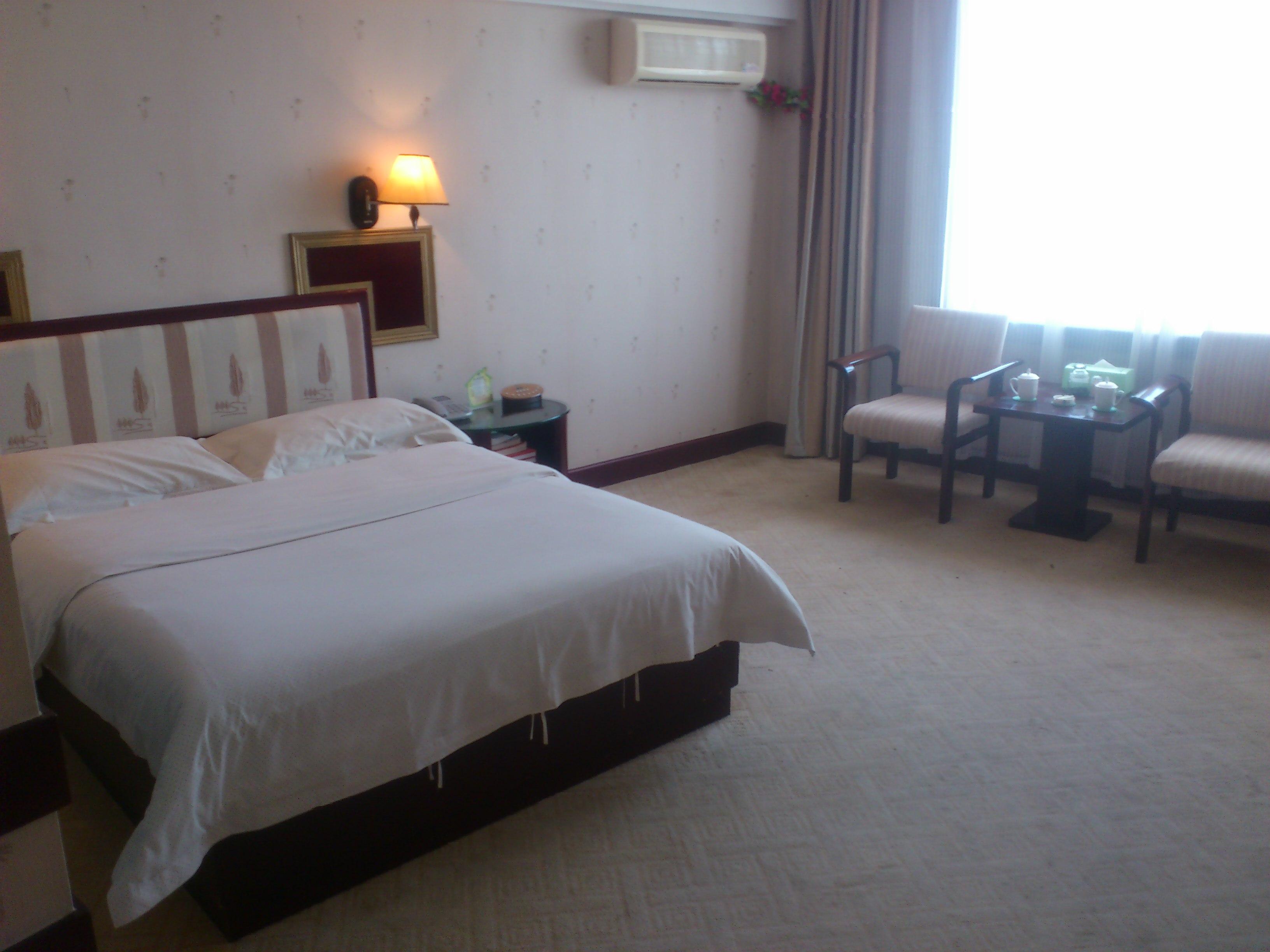 海天大酒店-客卧