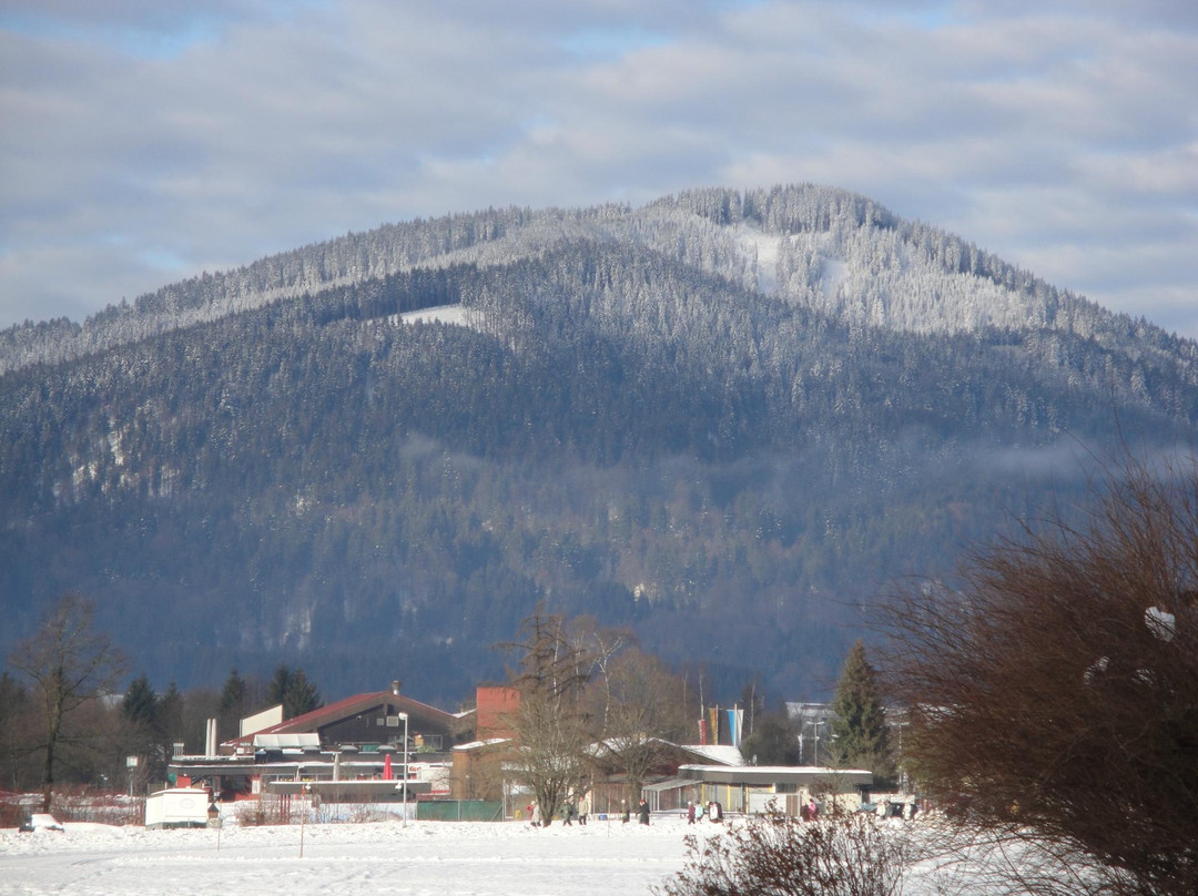胡贝托伽尼酒店主图