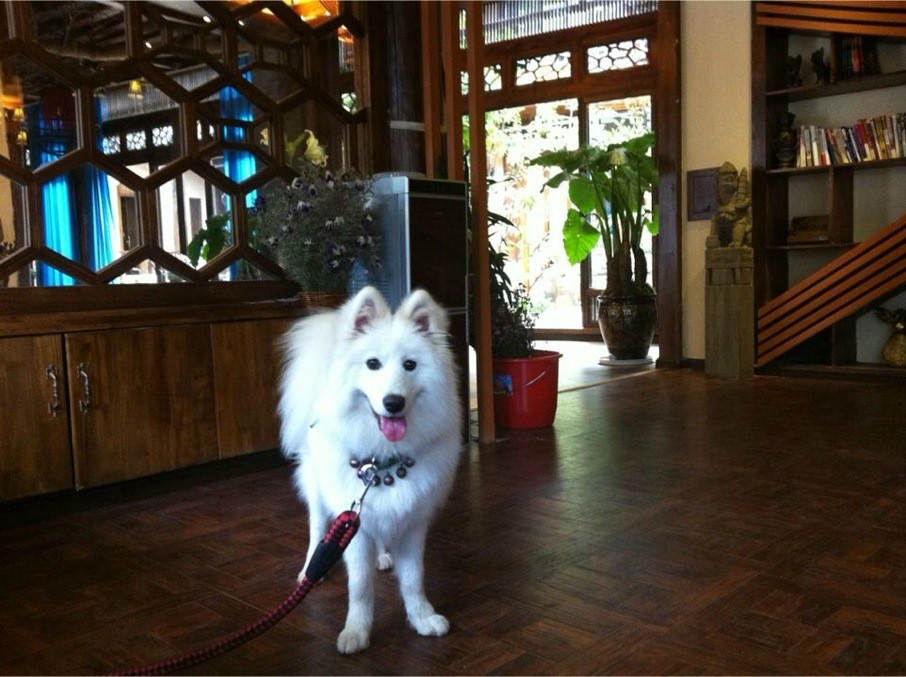 Ritz man•丽漫｜Slow Living 观景客栈主图