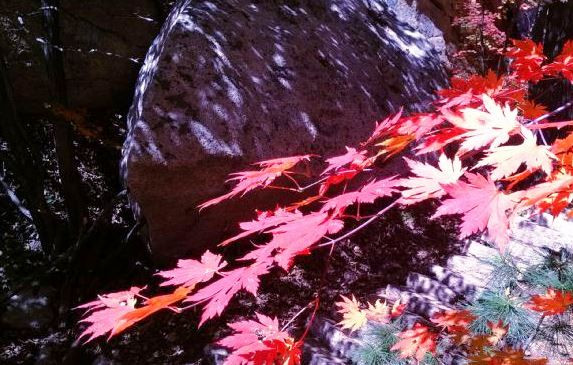 丹东天华山-宽甸满族自治县必去景点