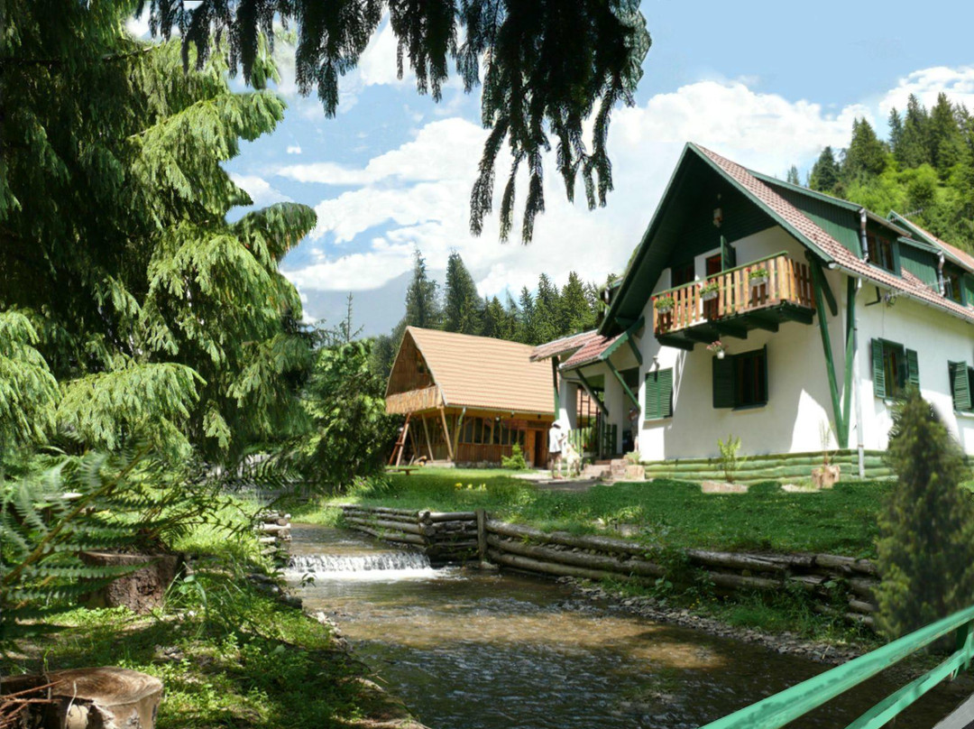 Gheorgheni酒店住宿-Red Lake Inn