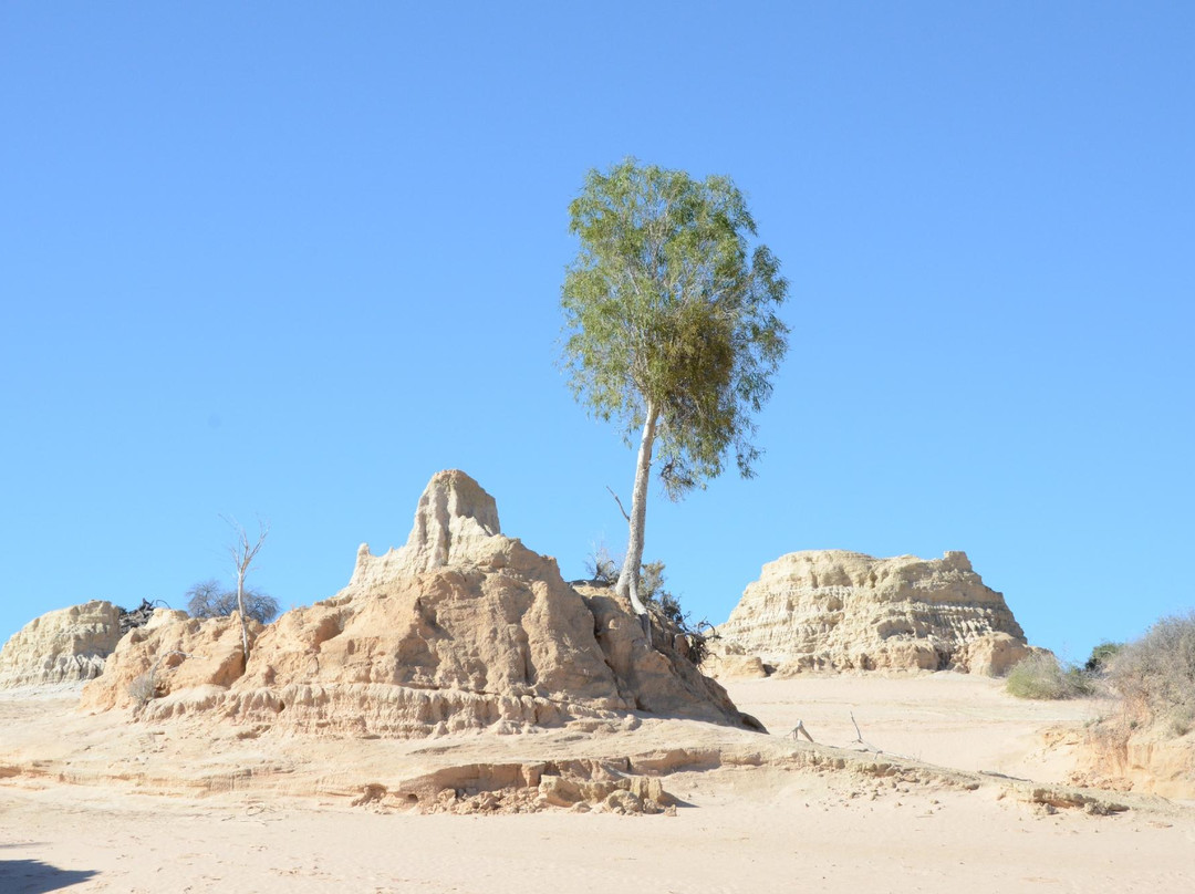 Discover Mildura - Day Tours-米尔杜拉必去景点