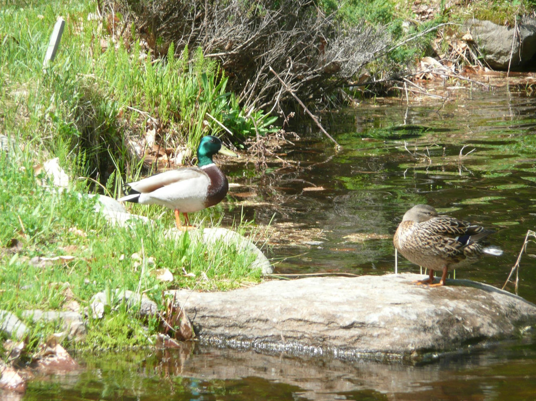快乐利德斯旅馆主图