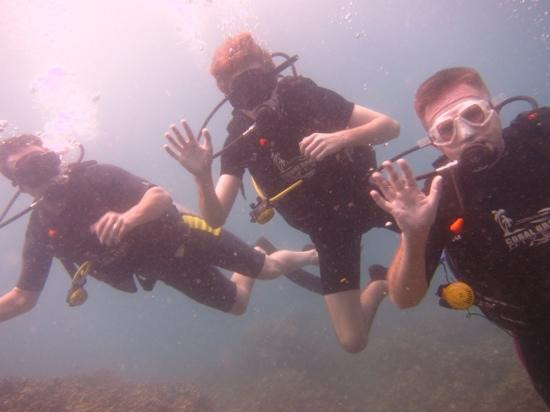 Coral Grand Divers-涛岛必去景点