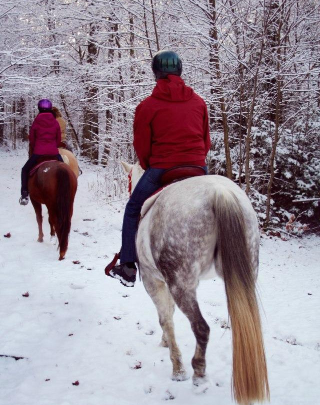 Adirondack Equine Center-普莱西德湖必去景点