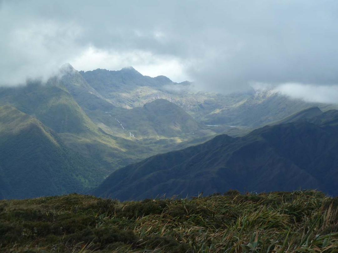 Podocarpus National Park-Zamora必去景点