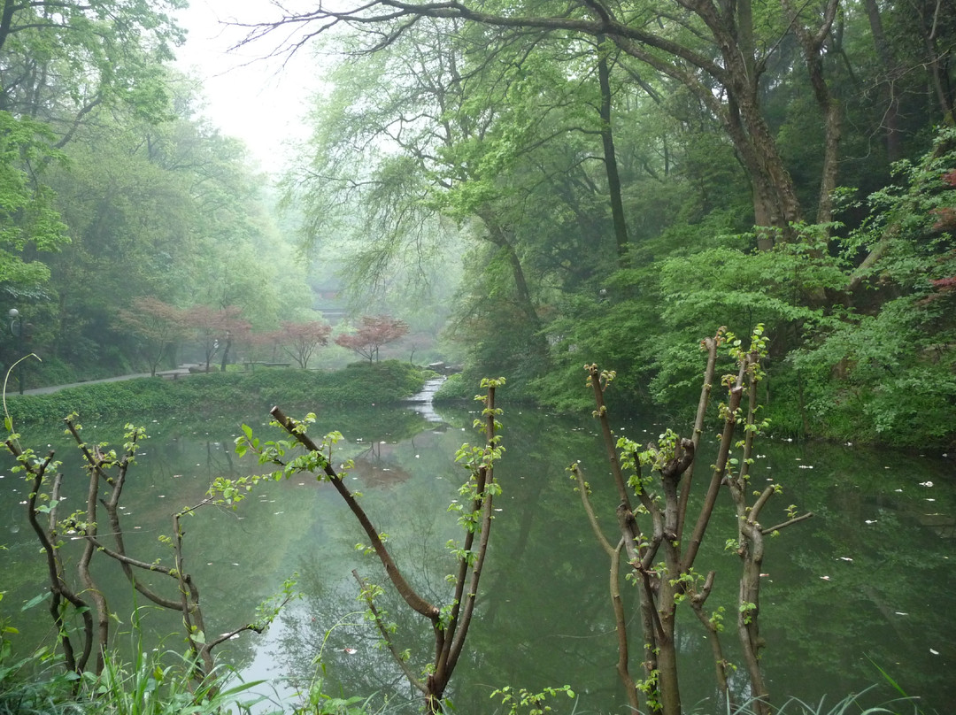 岳麓山景点图片