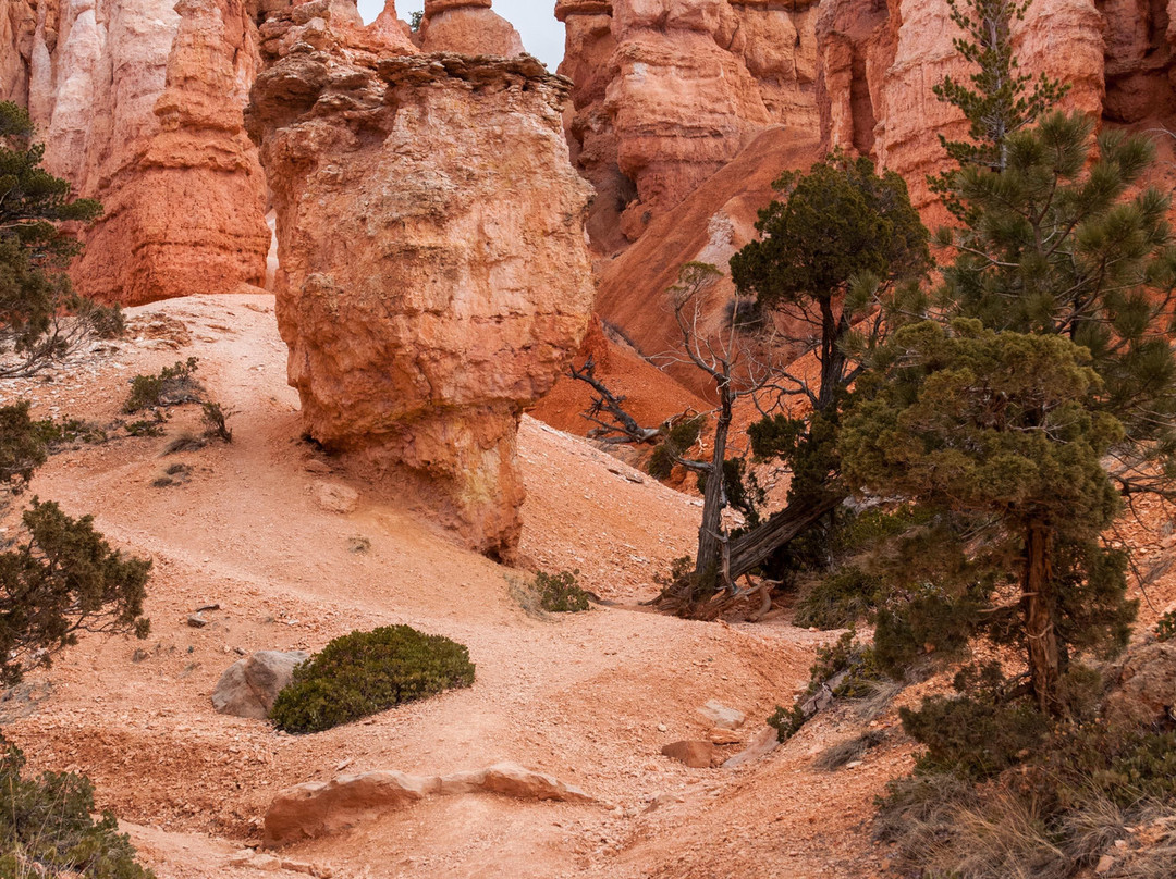 Queen's Garden Trail-布莱斯峡谷国家公园必去景点