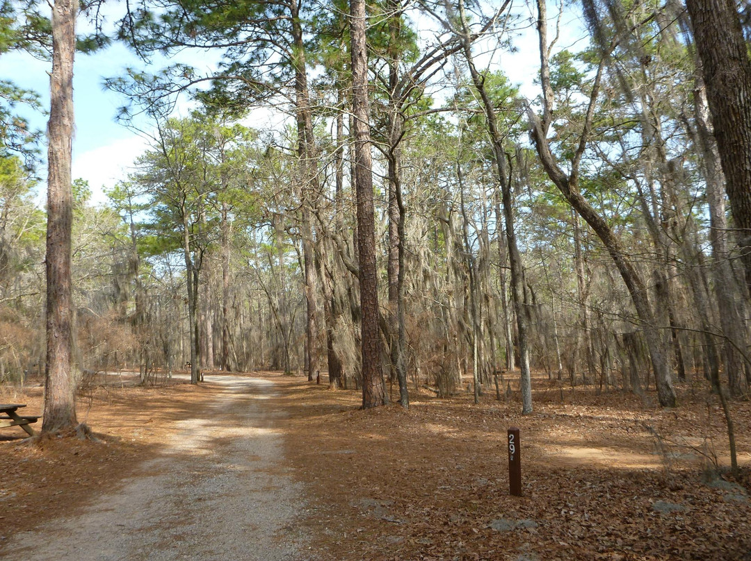 Poinsett State Park景点图片