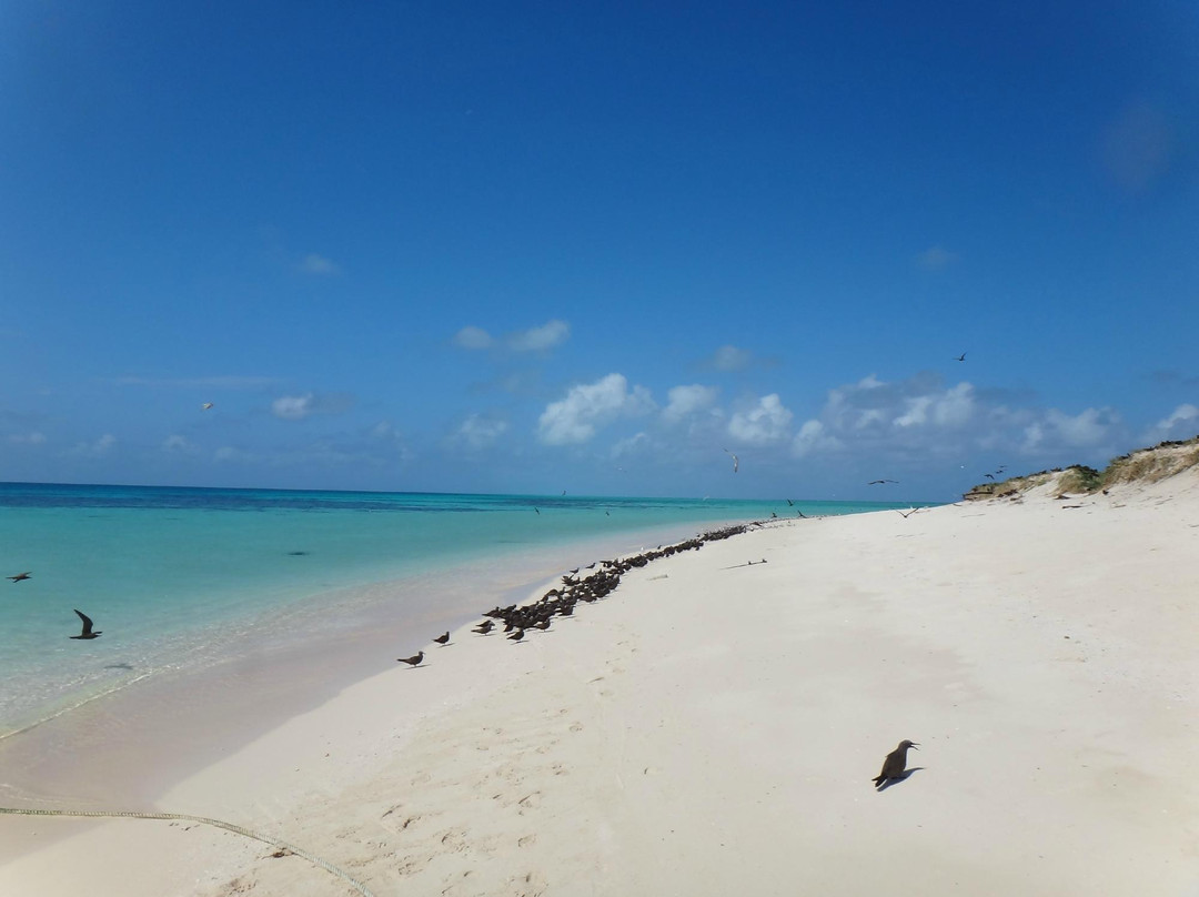 麦克拉斯沙岛-凯恩斯必去景点