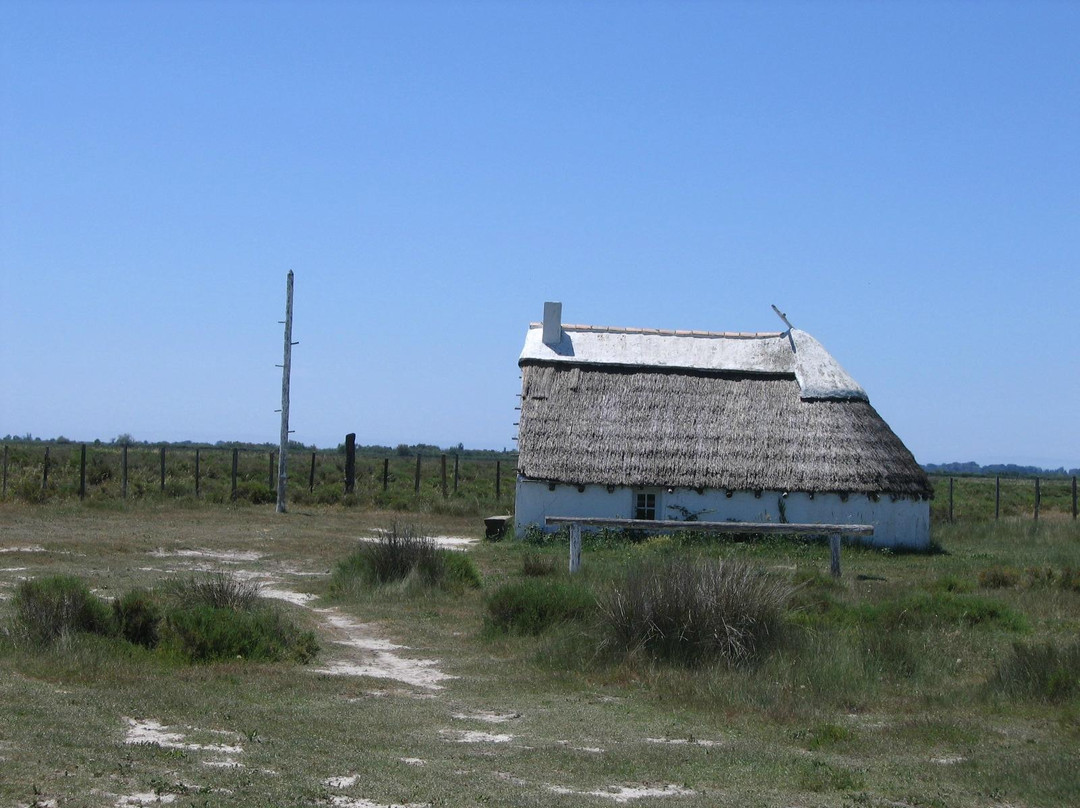 Musee de la Camargue-阿尔勒必去景点