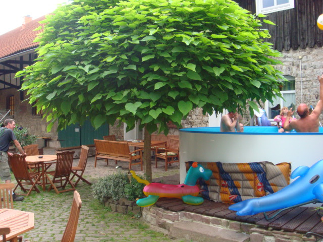 Hotel Flower Power主图