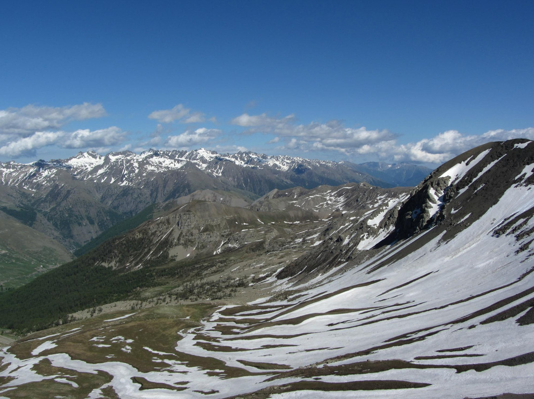 Col de la Bonette景点图片