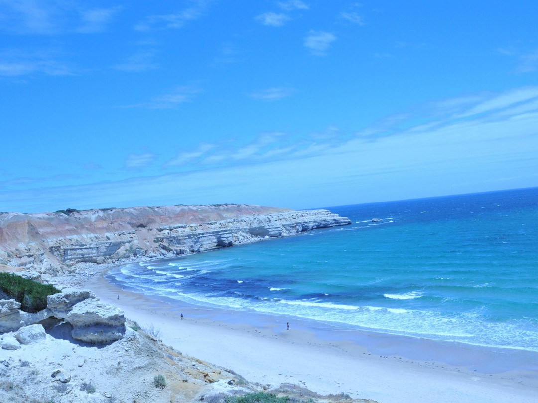 Maslin Beach景点图片