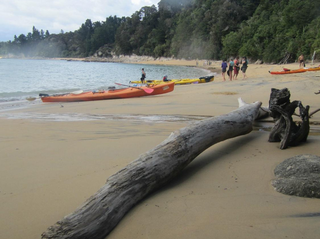 Kaiteriteri Kayaks-凯特里特里必去景点