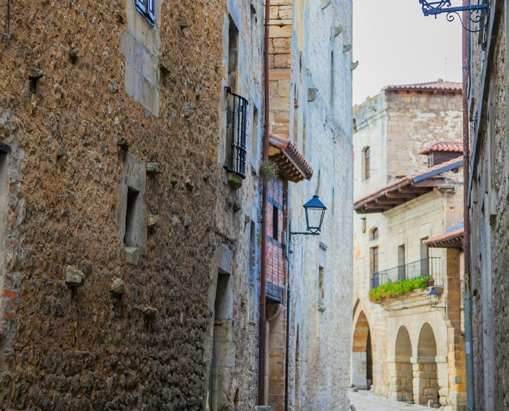 Calle de Santo Domingo景点图片