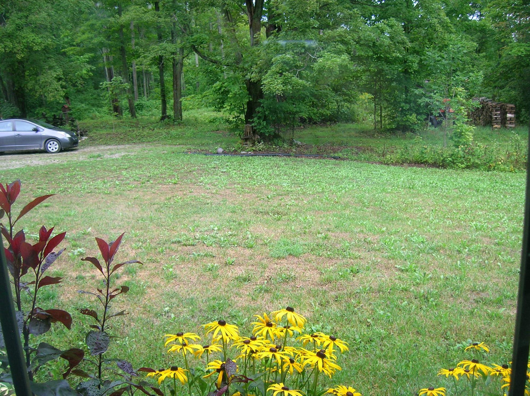 Maple Acres B&B