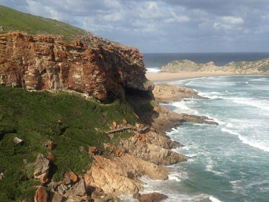 Robberg Nature Reserve-普利登堡湾必去景点