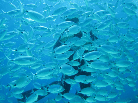 Aqua Venture-梅雷赫必去景点