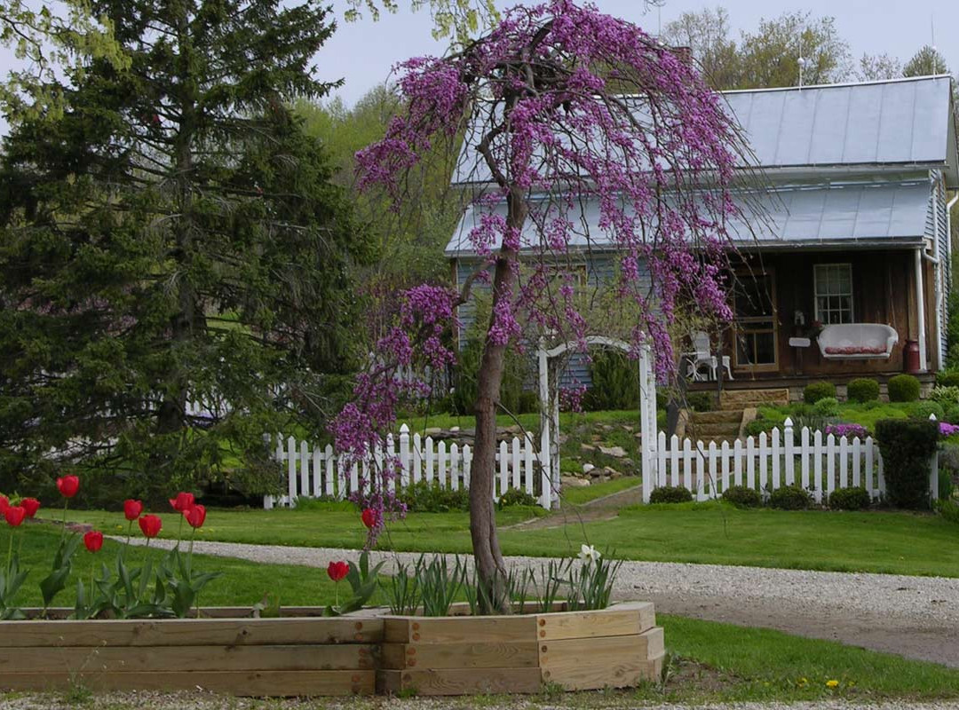Old Summer House Bed and Breakfast主图