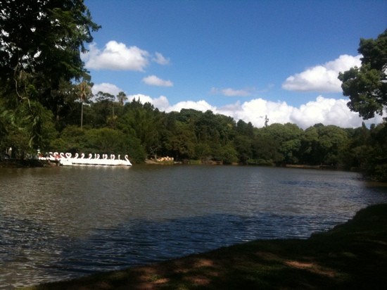 法鲁皮尔哈公园 (RedenÃ§Ã£o)-阿雷格里港必去景点