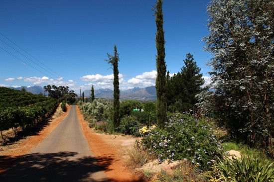 Jordan Wine Estate-斯泰伦博斯必去景点