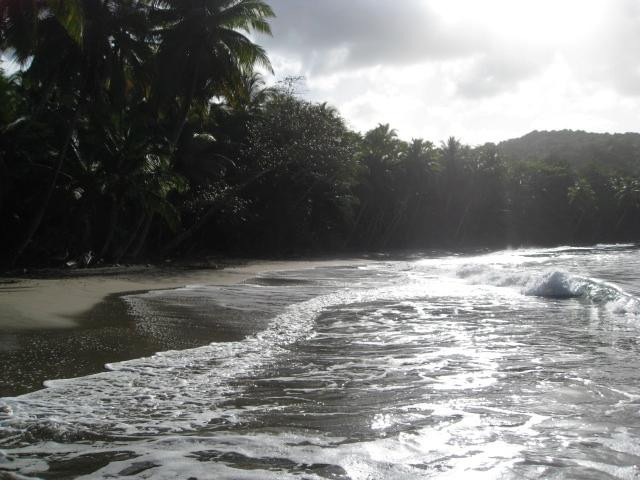 Batibou Beach景点图片