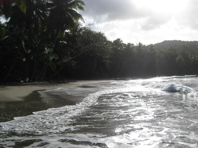 Batibou Beach-Hampstead必去景点