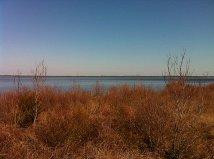 Pocosin Lakes National Wildlife Refuge-Columbia必去景点