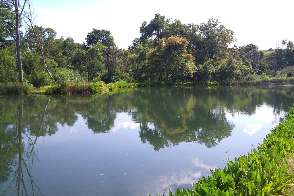 Barbus Haven Fly Fishing-Magaliesburg必去景点