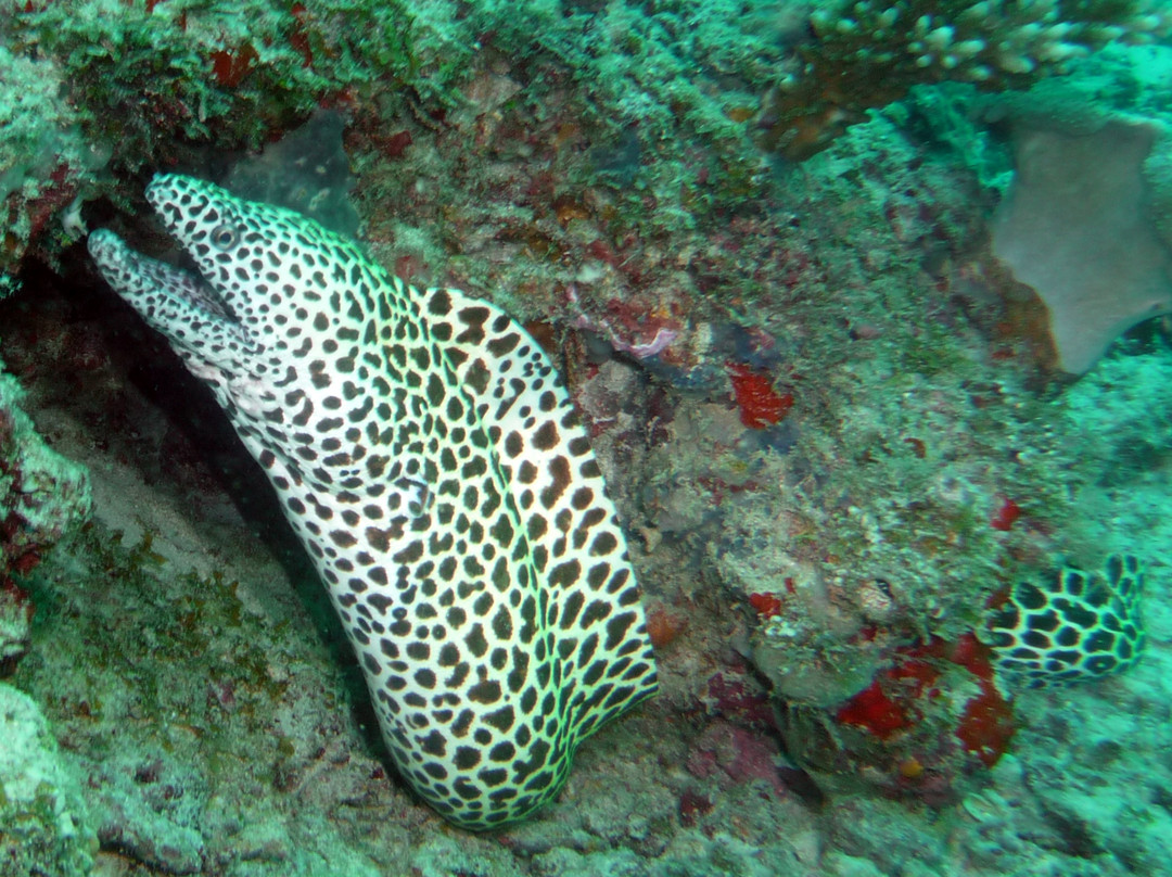 HP暗礁-满月岛必去景点