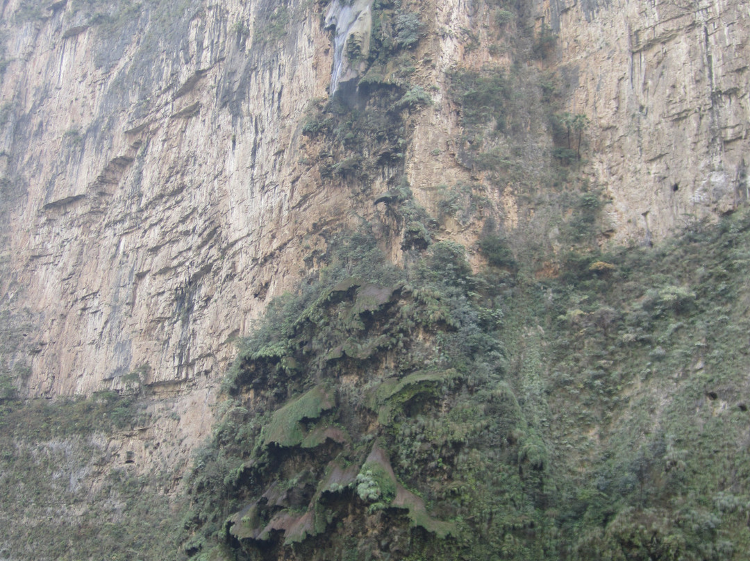 Parque Nacional Cañón del Sumidero景点图片