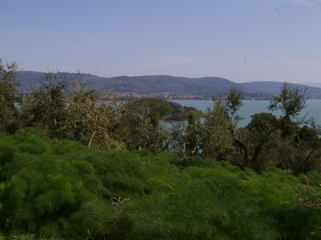Lago Trasimeno-佩鲁贾必去景点