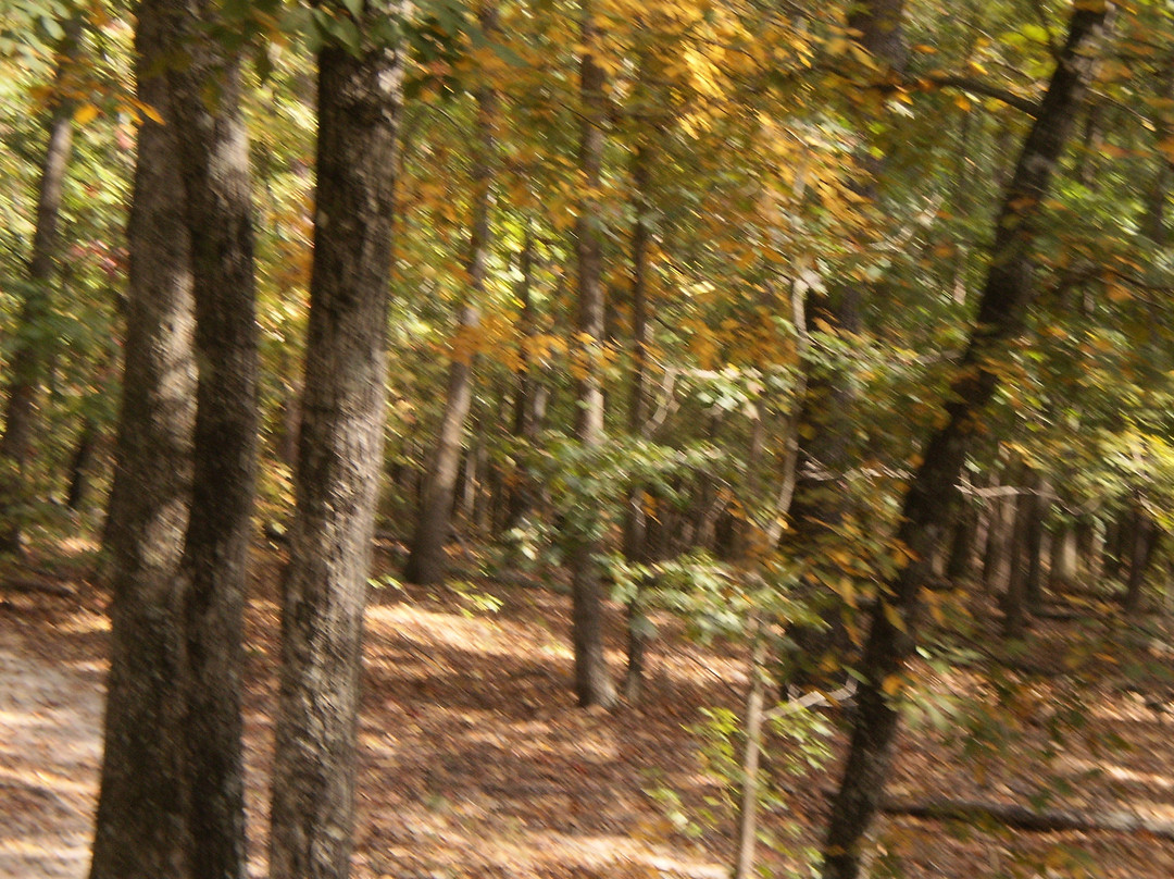 Watson Mill Bridge State Park-Comer必去景点