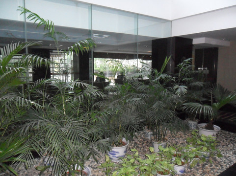 海口五指山国际温泉酒店（骑楼老街日月广场免税店）主图