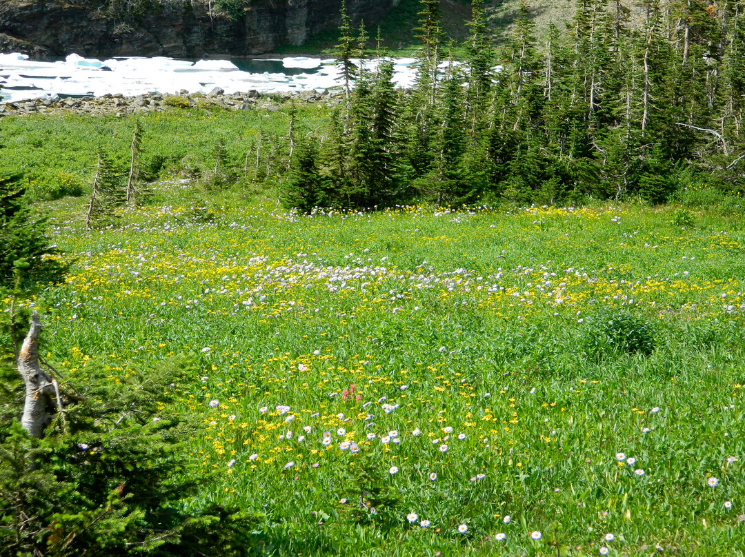 Iceberg Lake-冰河国家公园必去景点