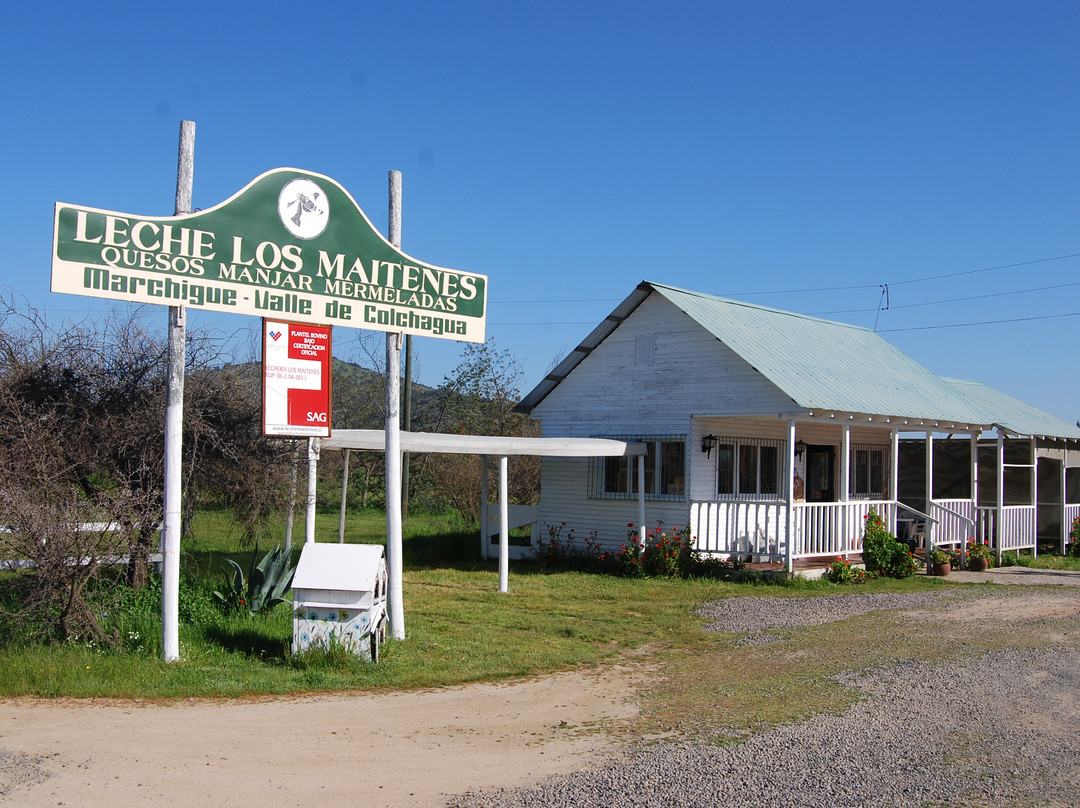 O'Higgins Region旅游景点-Lecheria Los Maitenes