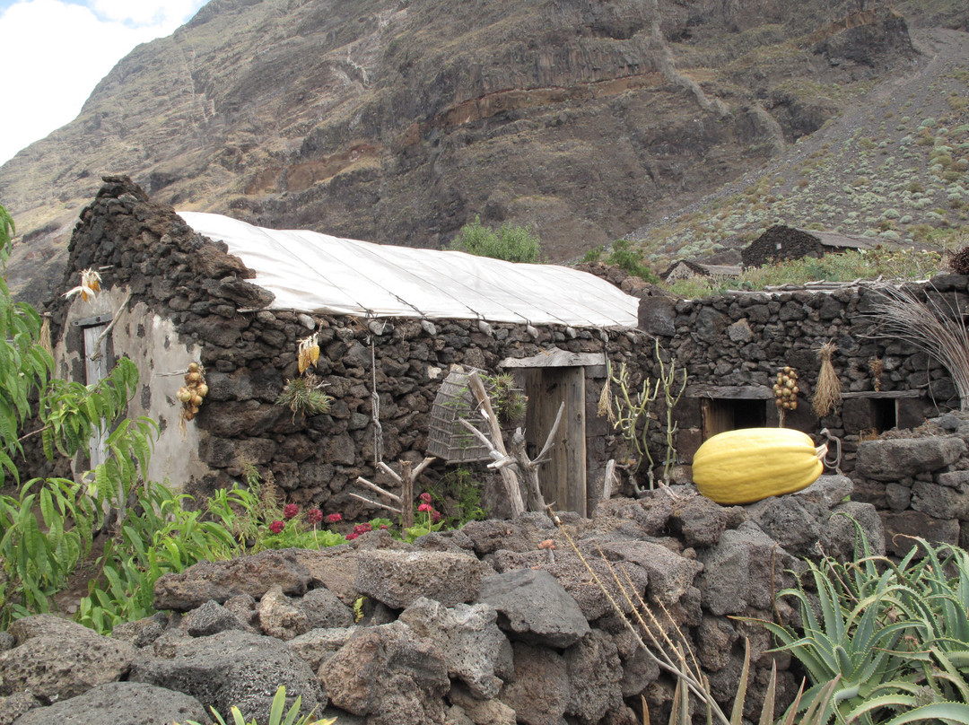 Ecomuseo de Guinea y Lagartario景点图片